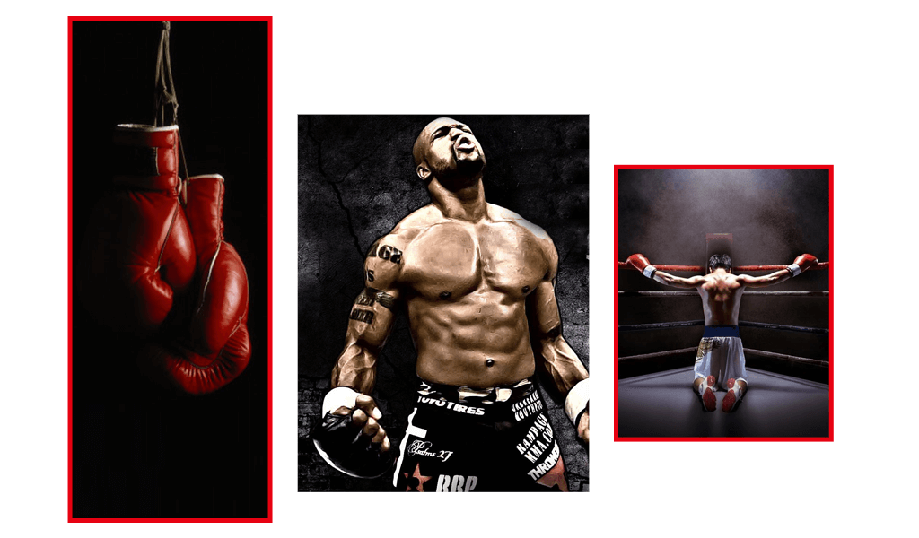 Sakarya Boks Yakın Dövüş