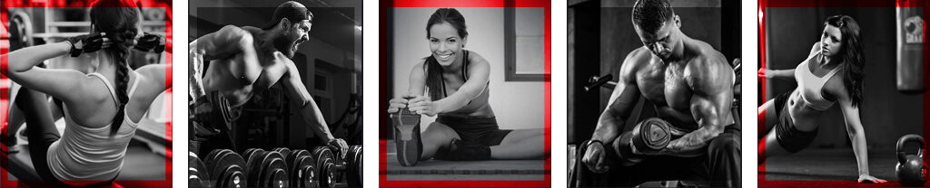 Sakarya Spor Salonu Tatilya Hakkında